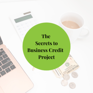 The Secrets to Business Credit Project