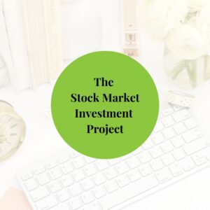 The Stock Market Investment project