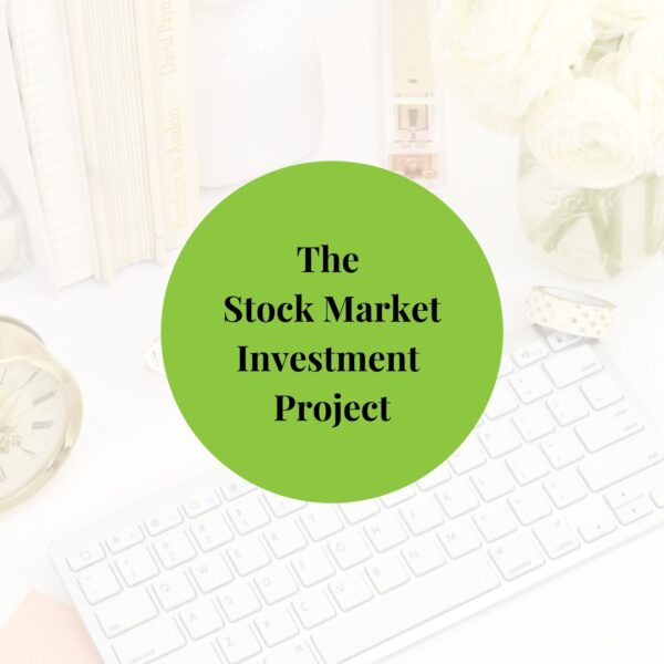 The Stock Market Investment project